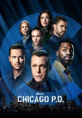 Полиция Чикаго 10 сезон